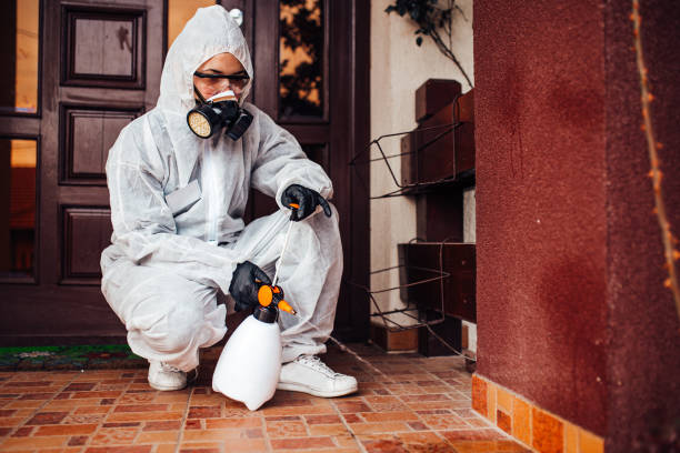 Reliable Wasp Removal contractor in Nebraska City, NE by Show Me Pest Control